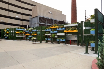 UPMC Shadyside - Living Wall